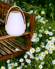 Load image into Gallery viewer, Mooni Andale Lantern