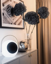 Load image into Gallery viewer, Mooni Eye Speaker