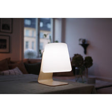 Load image into Gallery viewer, Mooni Table Lamp Speaker