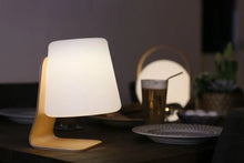 Load image into Gallery viewer, Mooni Table Lamp Speaker
