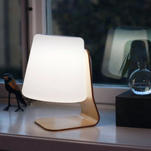 Load image into Gallery viewer, Mooni Table Lamp Speaker
